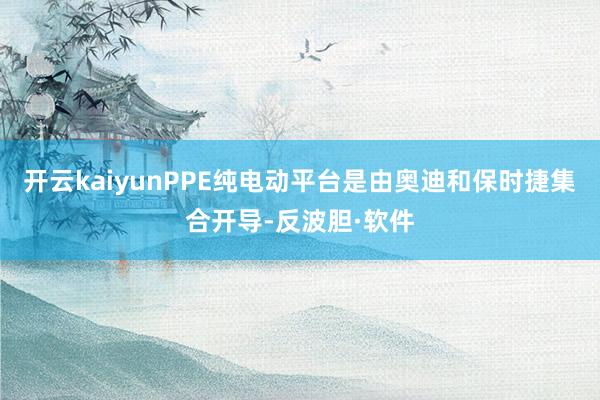 开云kaiyunPPE纯电动平台是由奥迪和保时捷集合开导-反波胆·软件